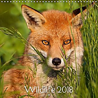 2018 Wildlife