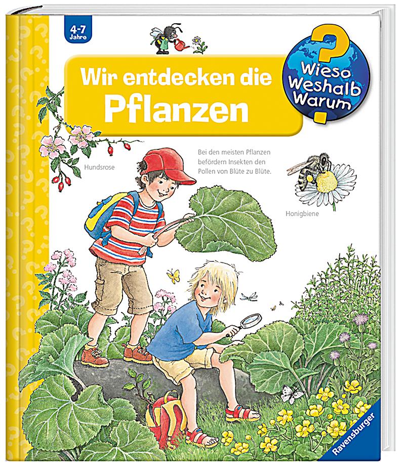 Der Gymnastik erhöhend die Potenz