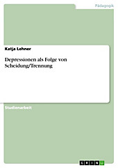 Depressionen als Folge von Scheidung/Trennung - eBook - Katja Lehner,