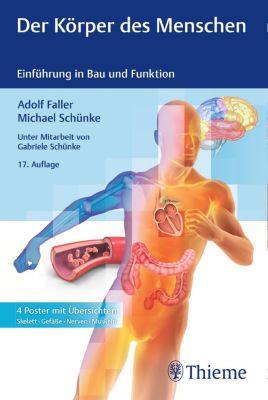 Der Körper des Menschen - eBook - Michael Schünke, Adolf Faller,