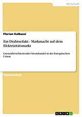 Ein Drahtseilakt - Markmacht auf dem Elektrizitätsmarkt - eBook - Florian Kalbassi,