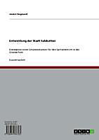 Entwicklung der Stadt Salzkotten - eBook - Jessica Siegmund,