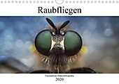 Faszination Makrofotografie: Raubfliegen (Wandkalender 2020 DIN A4 quer) - Kalender - Alexander Mett,