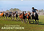 Faszinierendes Argentinien (Wandkalender 2020 DIN A3 quer)