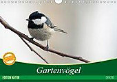 Gartenvögel (Wandkalender 2020 DIN A4 quer) - Kalender - Samashy-Romy Schötz,  Samashy,