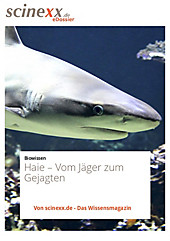 Haie - eBook - Dieter Lohmann,