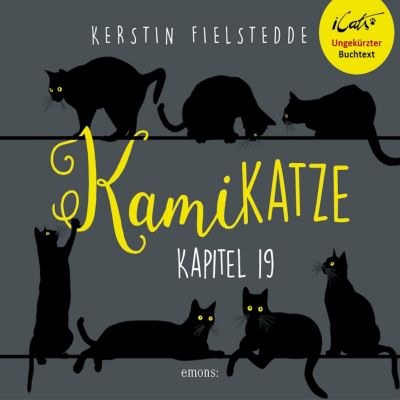 iCats: Kamikatze, Kapitel 19: Abgehört - eBook - Kerstin Fielstedde,