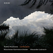 Landscapes - Musik - Miyata Mayumi, Liebreich Alexander,