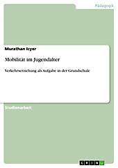 Mobilität im Jugendalter - eBook