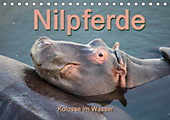 Nilpferde, Kolosse im Wasser (Tischkalender 2020 DIN A5 quer) - Kalender - Andrea Styppa, Robert Styppa,