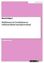 Pfahlbauten im Neolithikum in Süddeutschland und Alpenvorland - eBook - Moritz Hilgers,