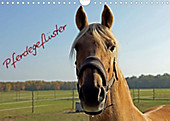 Pferdegeflüster (Wandkalender 2021 DIN A4 quer) - Kalender - Andrea Damm,