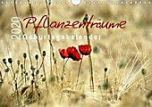 Pflanzenträume / Geburtstagskalender (Wandkalender 2020 DIN A4 quer) - Kalender - Sigrun Düll,