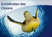 Schildkröten des Ozeans (Wandkalender 2020 DIN A3 quer) - Kalender - Henry Jager,