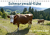Schwarzwald-Kühe - Die Hinterwälder (Tischkalender 2020 DIN A5 quer) - Kalender - Stefanie Goldscheider,
