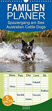 Spaziergang am See Australian Cattle Dogs - Familienplaner hoch (Wandkalender 2020 , 21 cm x 45 cm, hoch) - Kalender - Verena Scholze,