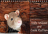 Süße Mäuse und Coole Ratten/CH-Version (Tischkalender 2021 DIN A5 quer)