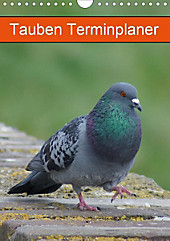 Tauben Terminplaner (Wandkalender 2020 DIN A4 hoch) - Kalender