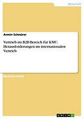 Vertrieb im B2B-Bereich für KMU. Herausforderungen im internationalen Vertrieb - eBook - Armin Schnürer,