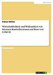 Wirtschaftlichkeit und Wirksamkeit von Internen Kontrollsystemen auf Basis von COSO II - eBook - Fabian Müller,