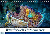Wunderwelt Unterwasser (Tischkalender 2020 DIN A5 quer) - Kalender - Dieter Gödecke,