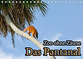 Zoo ohne Zäune - Das Pantanal (Tischkalender 2020 DIN A5 quer) - Kalender - Jörg Sobottka,