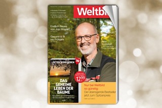 Weltbild.de - Bücher Versandkostenfrei Online Bestellen