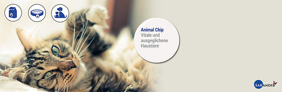 #Animal Chip
#####Vitalisiert Ihre Haustiere
Die Tiere werden mit Frequenzen «versorgt», die speziell auf ihre Bedürfnisse programmiert sind. Gleichzeitig erhalten die Tiere mehr Vitalität, sie werden ausgeglichener – dies erkennt man in der Regel schnell in der Optimierung des Fells oder Gefieders. Zudem können negative Impfreaktionen vermindert werden, ohne dass die Impfwirkung beeinträchtigt wird.
{{ button href="/news/downloads/Animal_Flyer_151211_Weltbild_web.pdf" text="Broschüre online ansehen" }}