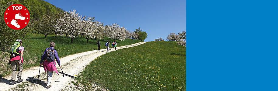 ###Auf zur Kirschblütenwanderung
**Obwohl diese Wanderung ganzjährig unternommen werden kann, wenn nicht zu viel Schnee oder gar Eis auf den Wegen liegt, empfiehlt sich die Zeit der Kirschbaumblühte zwischen Mitte April und Anfang Mai. Es ist noch nicht so heiss und die weitherum berühmten Baselbieter Obstbäume entfalten ihre volle Pracht.**
{{button href="/ausflugsziele/region/nordwestschweiz/hochwald-liestal" text="Mehr erfahren"}}