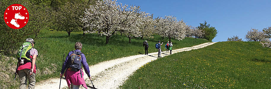 Wanderweg von Hochwald via Nuglar nach Liestal Wanderweg von Hochwald via Nuglar nach Liestal