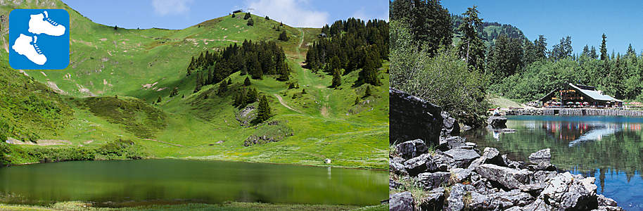 Einstiegsbanner Einstiegsbanner