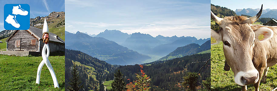 Einstiegsbild Einstiegsbild