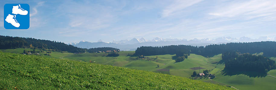 Einstiegsbild Einstiegsbild