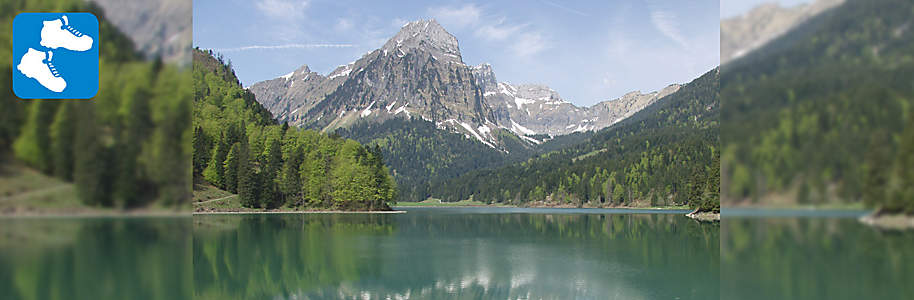 Einstiegsbild Einstiegsbild