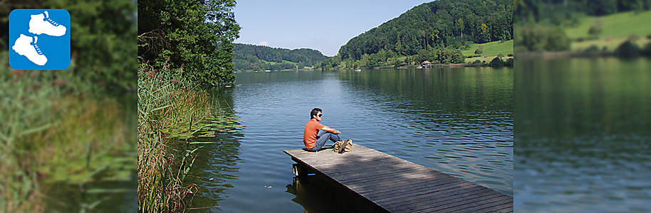 Einstiegsbild Einstiegsbild