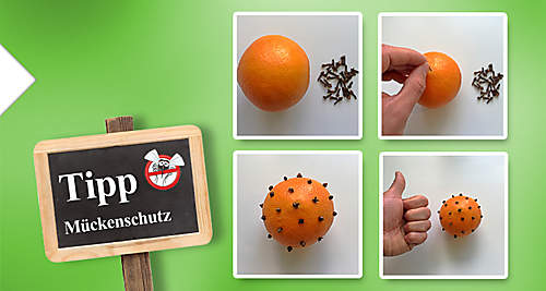 MückenschutzBild MückenschutzBild