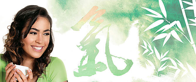 Header Basic Header Basic