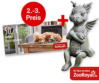 2. - 3. Preis: Je ein 50.- € ZooRoyal-Gutschein + Deko-Drache "Lucky" 2. - 3. Preis: Je ein 50.- € ZooRoyal-Gutschein + Deko-Drache "Lucky"