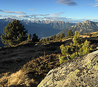 Zirbenpanorama Zirbenpanorama
