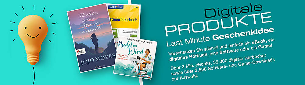 Einstiegsgrafik Einstiegsgrafik