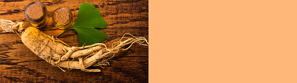 Was ist Gingko, was ist Ginseng?
Welche Wirkstoffe enthalten Ginkgo & Ginseng?
Welche Wirkung haben Ginkgo und & im Körper?
