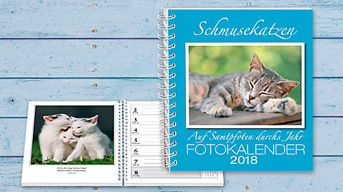 Fotowettbewerb "Schmusekatze" Fotowettbewerb "Schmusekatze"