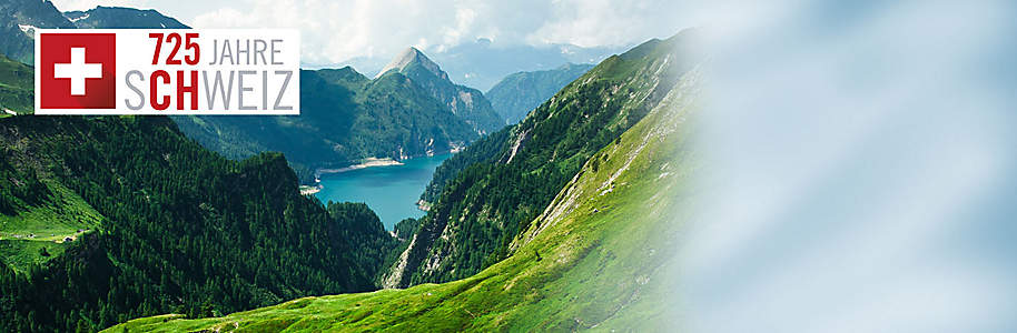 #Wir feiern 725 Jahre Schweiz!
Wir blicken auf 725 Jahre Schweizerische Eidgenossenschaft zurück, auf die Vielfalt der Schweiz mit vier Sprachregionen, 26 Kantonen, beinahe 2300 Gemeinden und auf die viele wichtige Persönlichkeiten und Ereignisse, welche unser Land geprägt haben. Das Jubiläum ist ein guter Grund sich nochmals mit der Schweizer Geschichte zu befassen und über die Vergangenheit nachzudenken, nochmal in die besten Schweizer Musikhits reinzuhören und die berühmtesten Schweizer Filme nochmals anzuschauen.
Wir haben Ihnen die Schweizer-Highlights in dieser Themenwelt zusammengestellt. **Viel Spass beim Stöbern!**