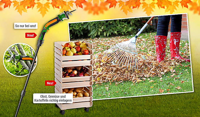 Bild Einstieg Garten im Herbst Bild Einstieg Garten im Herbst