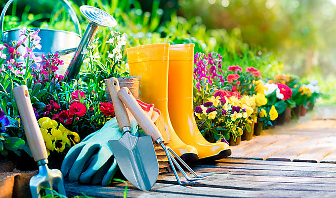 Bild Einstieg Garten im Frühling Bild Einstieg Garten im Frühling