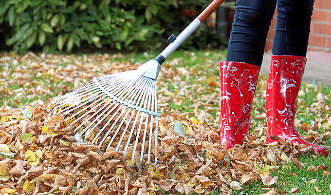 Bild Einstieg Garten im Frühling Bild Einstieg Garten im Frühling