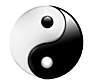 Yin & Yang Yin & Yang