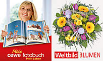 Bild 4 Bild 4