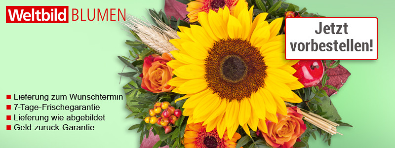 Get Sonnenblumen zitate sprueche Desktop Wallpaper Free