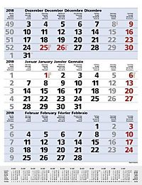 Planer long blau Kalender 2019 PDF Epub-Ebook